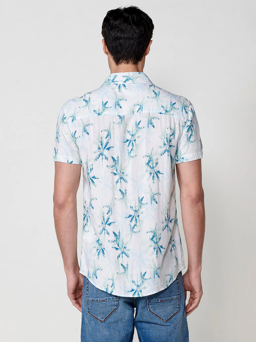 Imagen del producto 7